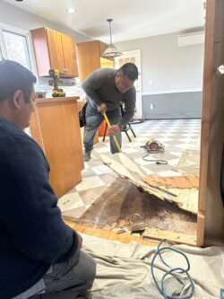Comprehensive Demolition and Restoration Services